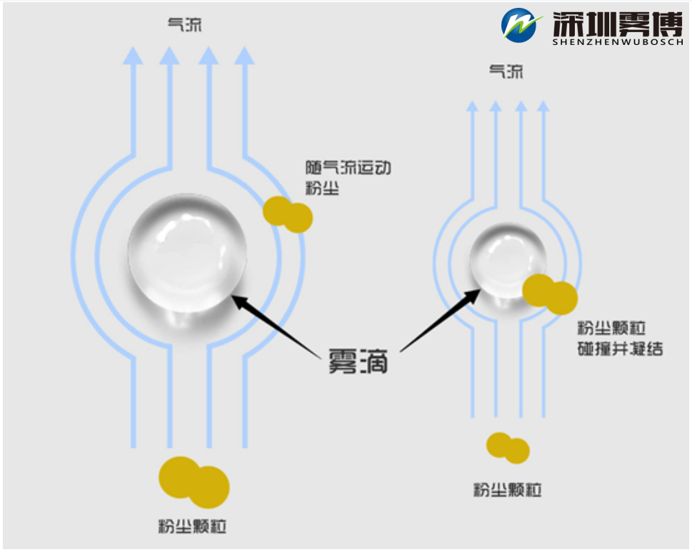 WPS图片(1).png
